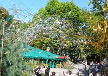 Выстрел серпантин 