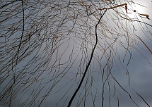 Выстрел стадионного серпантина