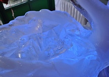 Любые ледяные скульптуры